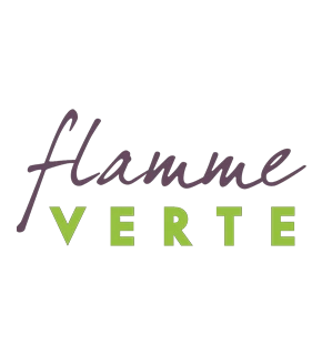 Logo ou pictogramme professionnel des certifications Qualibois Air, Étoiles du Feu, CAPEB ou SBTP. Présenter un logo vectorisé, clair et lisible, sur fond blanc ou neutre, reflétant les standards de qualité et de conformité aux normes environnementales et professionnelles du secteur de la fumisterie et du chauffage au bois.